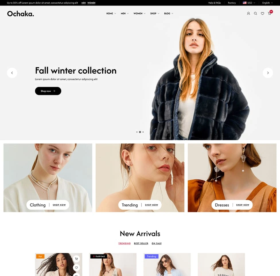 Ochaka’s web development project screenshot
